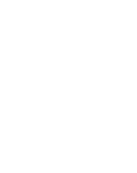 Somerbosch Lion Logo White